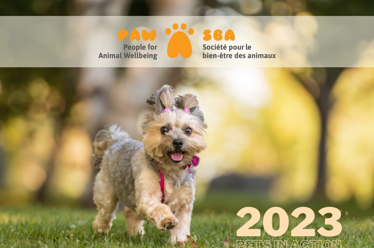 People For Animal Wellbeing 2025 Pet Photo Calendar Contest Concours